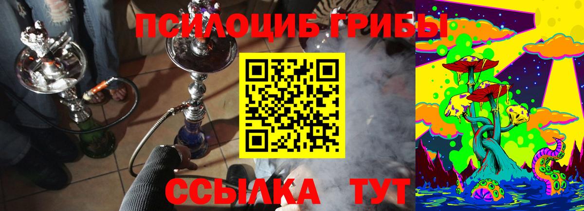 Галлюциногенные грибы Psilocybine cubensis  Вход с VPN  Азнакаево 